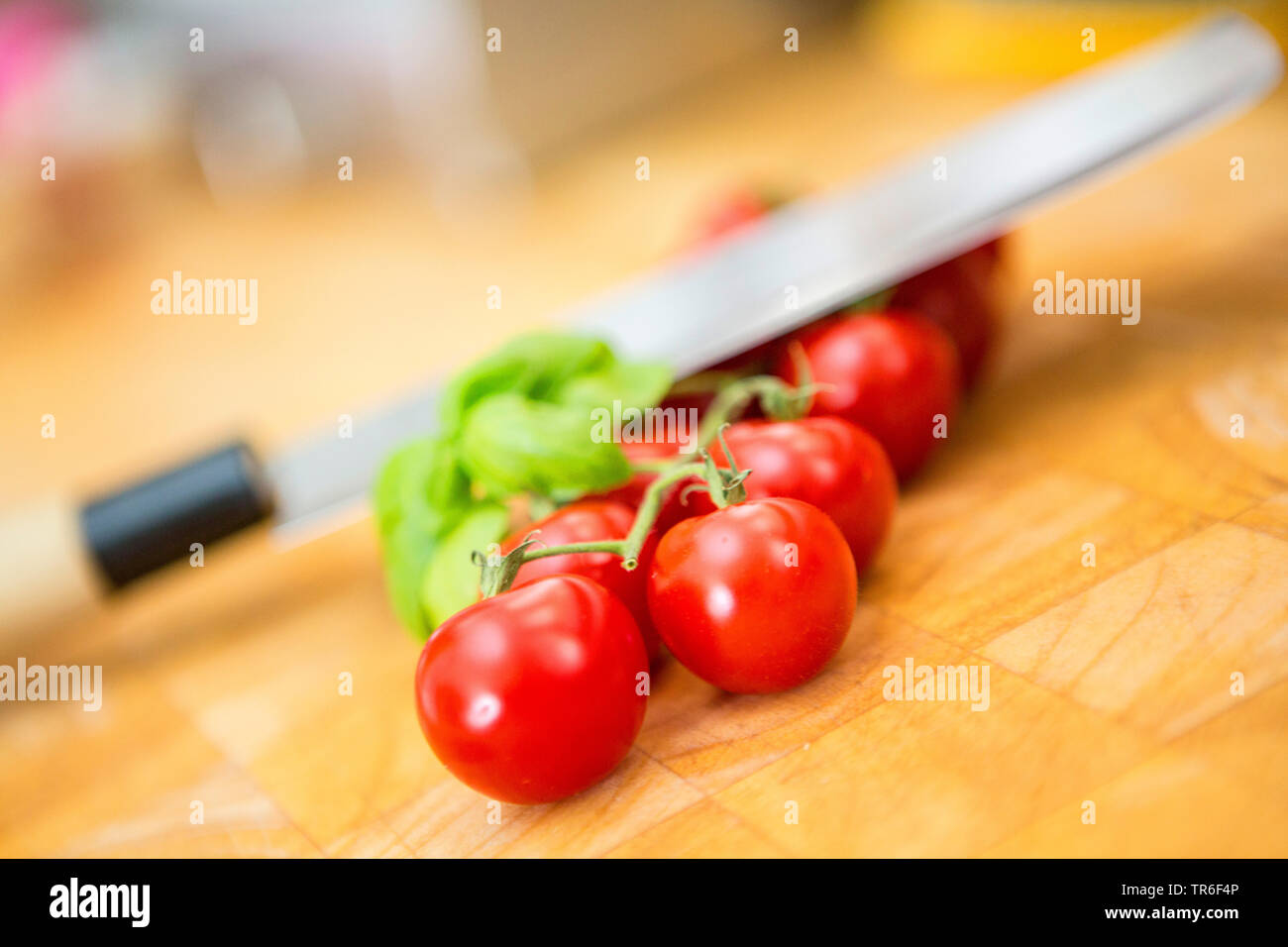 Giardino (pomodoro Solanum lycopersicum, Lycopersicon esculentum), cocktail pomodori con tulsi e coltello da cucina su una tavola di legno, Germania Foto Stock