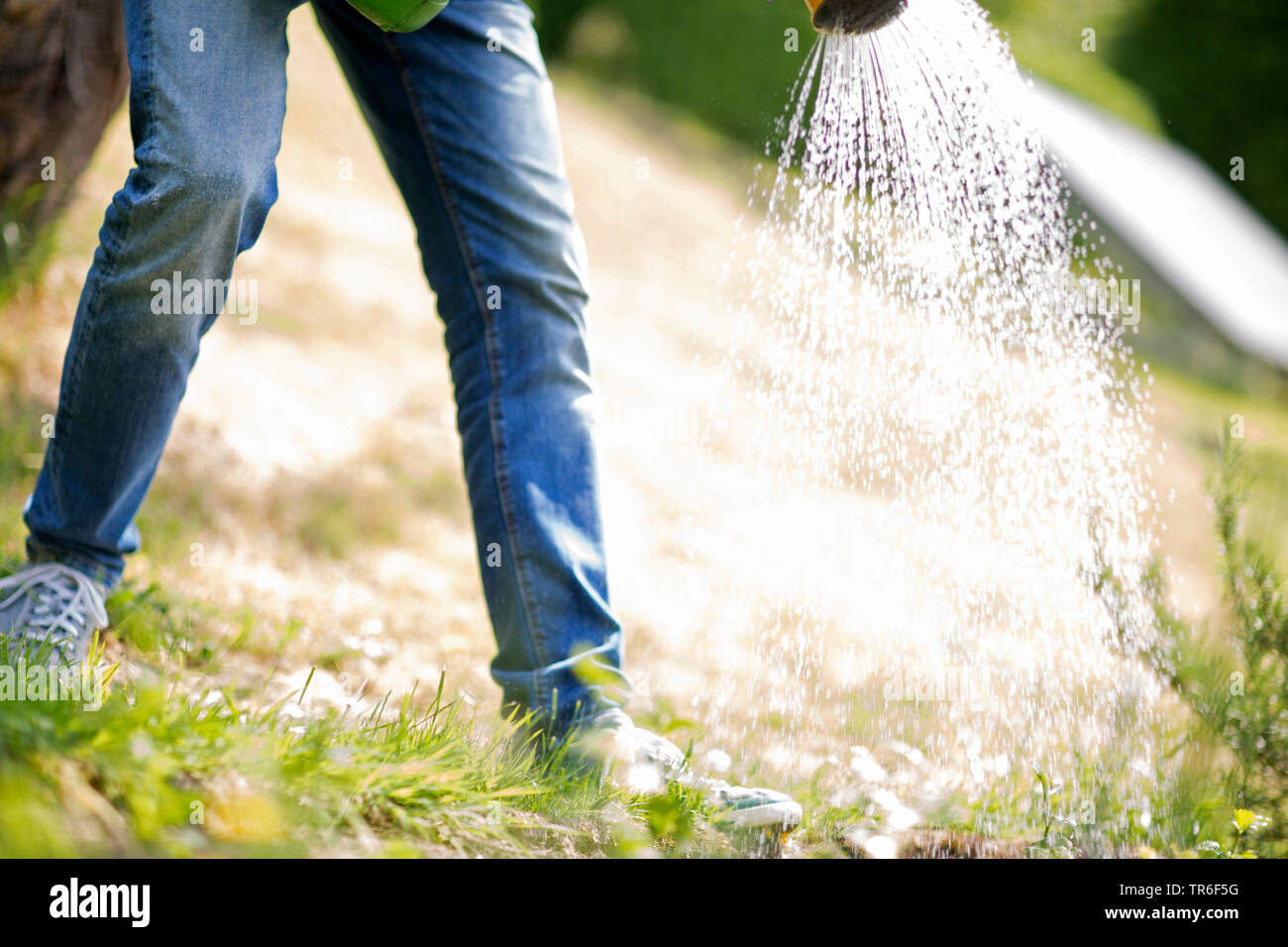 Fiori di irrigazione, Germania Foto Stock