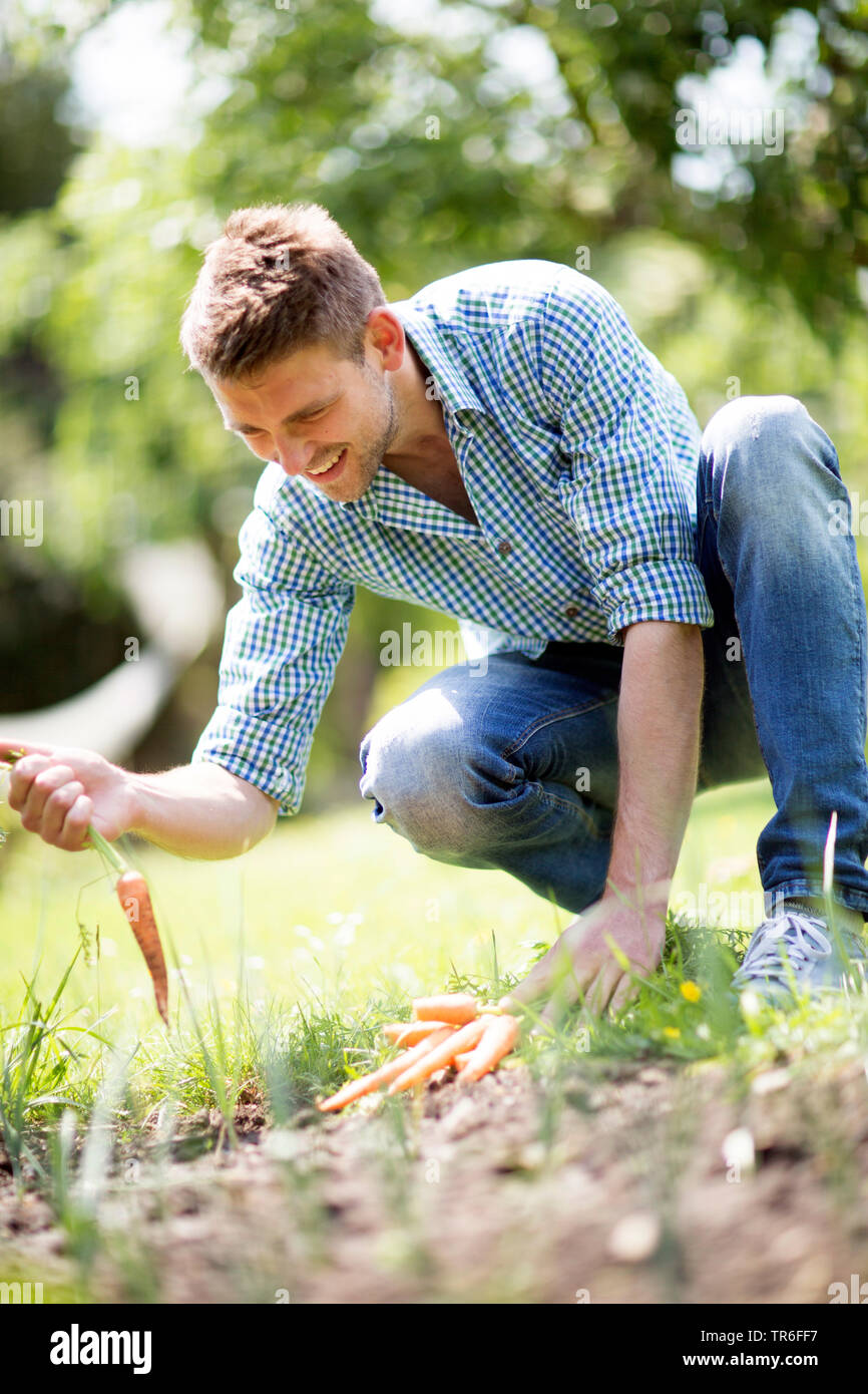 L'uomo la raccolta di una carota dal proprio giardino, Germania Foto Stock