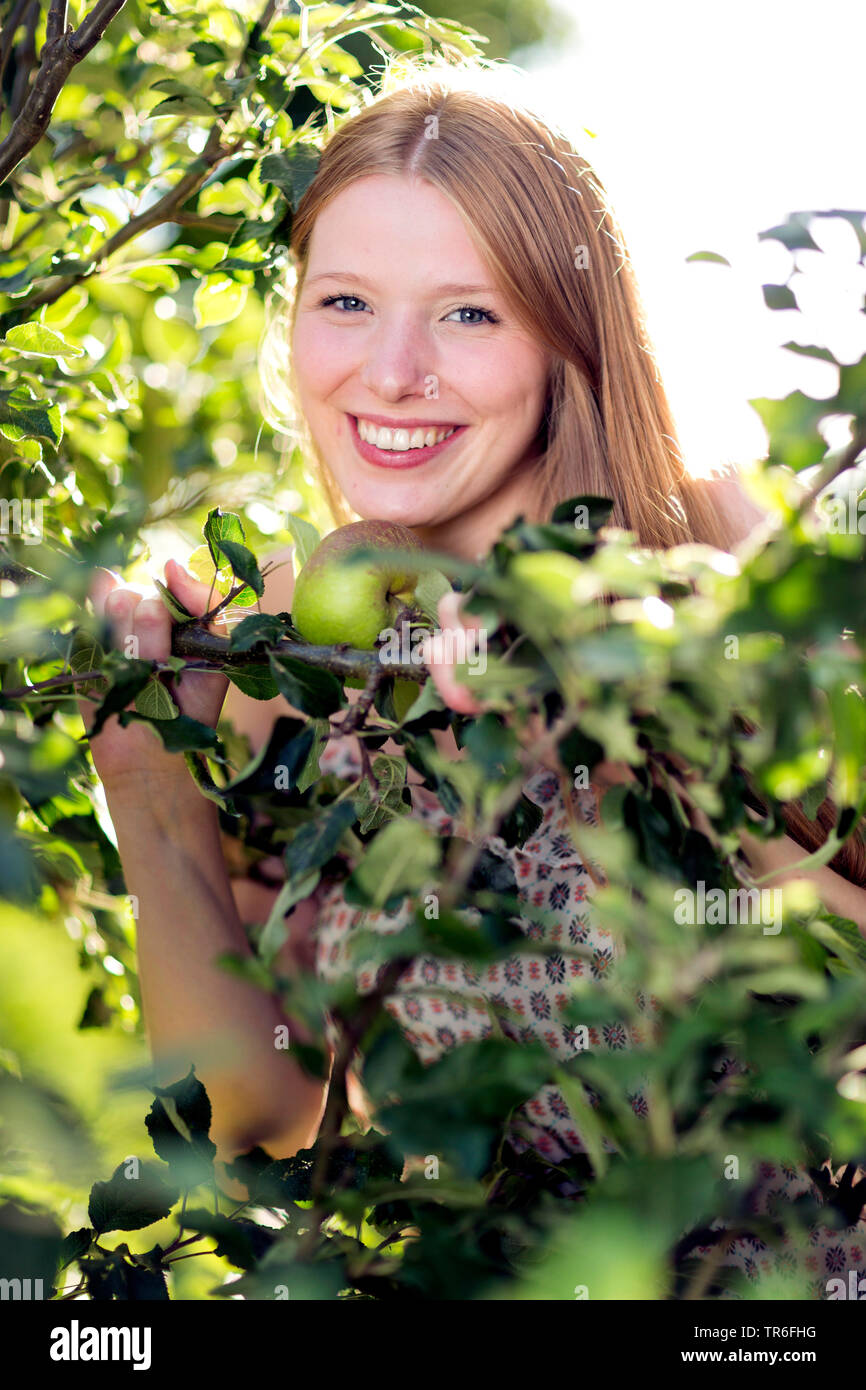 Apple tree (malus domestica), sorridente giovane donna in corrispondenza di un albero di mele, mezza lunghezza ritratto, Germania Foto Stock