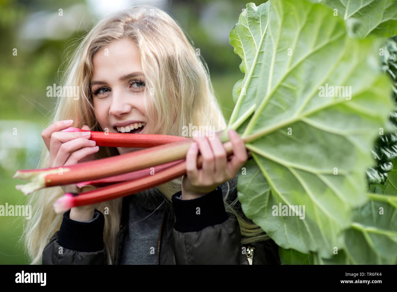 Rabarbaro (Rheum rhabarbarum), giovane donna bionda di mordere in raccolte fresche di rabarbaro, Germania Foto Stock