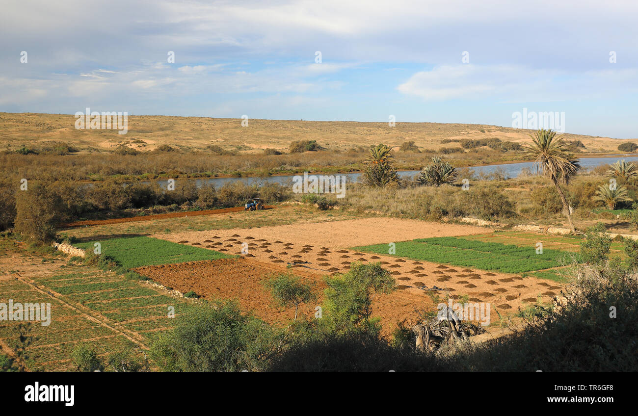 Massa River Valley, Marocco, Souss Massa Parco Nazionale Foto Stock