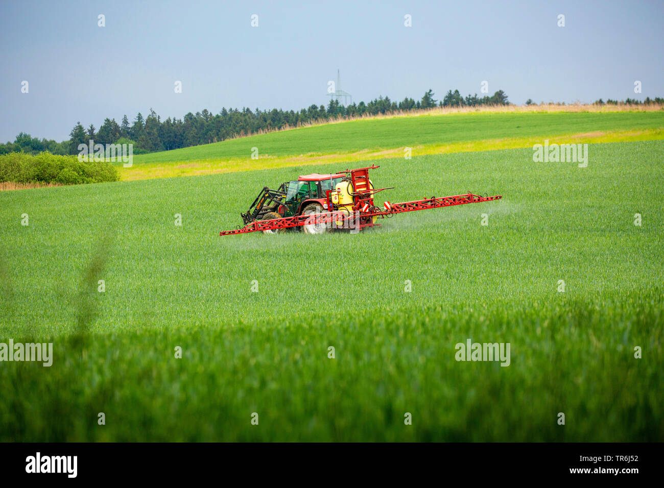 Pane di frumento, coltivati frumento (Triticum aestivum), il trattore l'applicazione di pesticidi su un campo di grano, in Germania, in Baviera Foto Stock