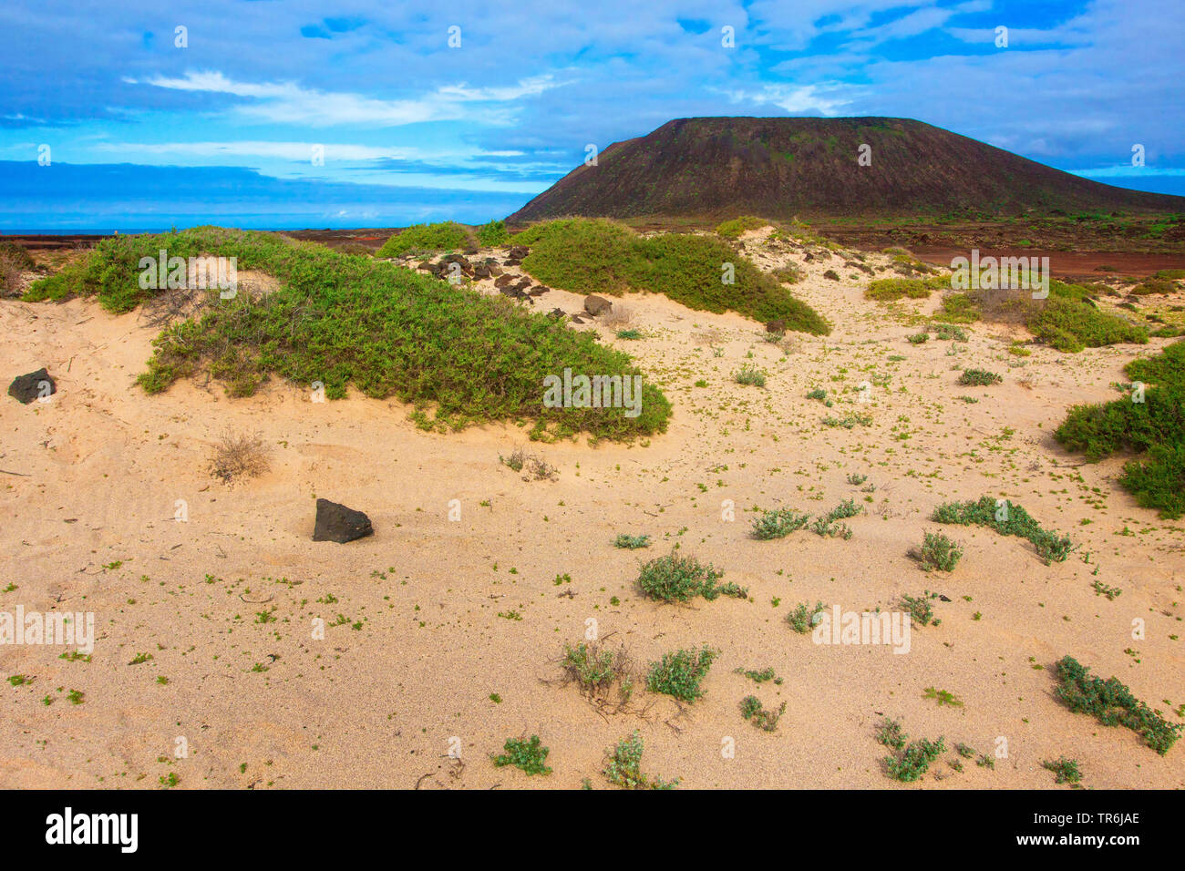 Dune sull isola di Lobos, Isole Canarie, Lobos, Isla de Lobos Parco Nazionale Foto Stock