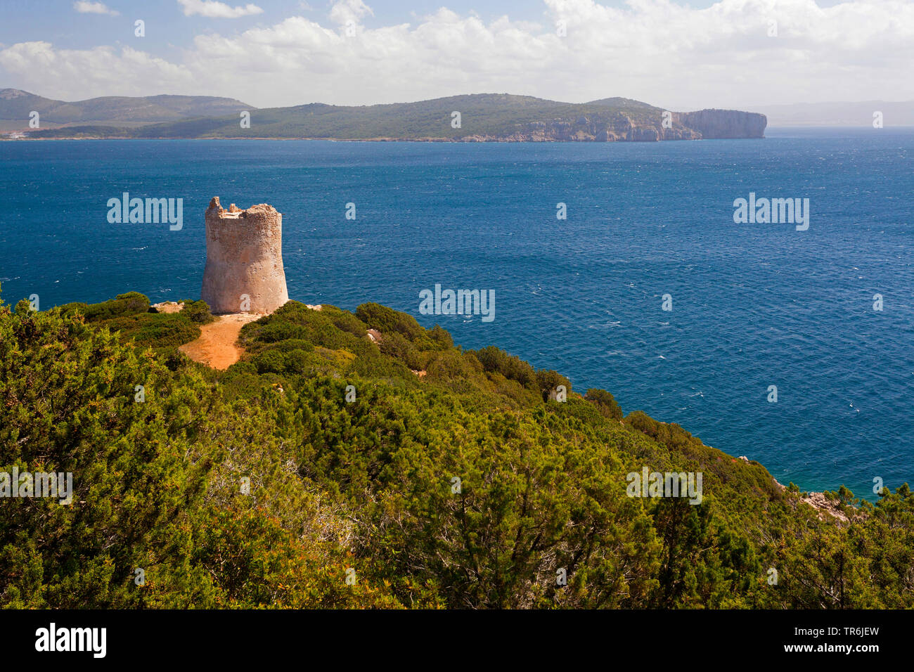 Cala Tramariglio, Park von Porto Conte, Wachturm, Italia, Sardegna, Parl di Porto Conte Foto Stock