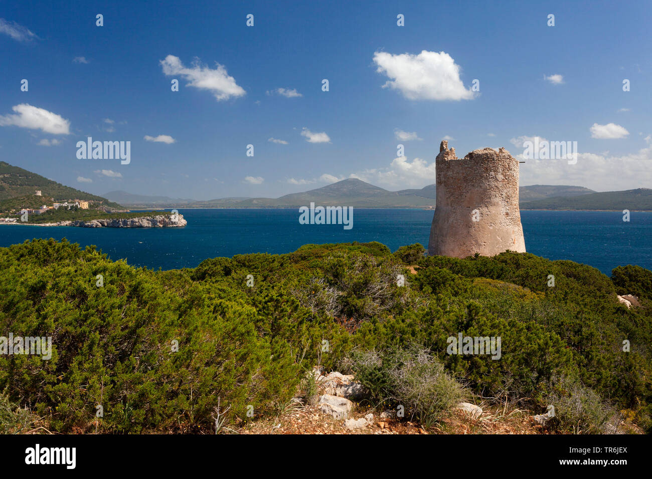 Cala Tramariglio, Park von Porto Conte, TORRE, Italia, Sardegna, Parl di Porto Conte Foto Stock