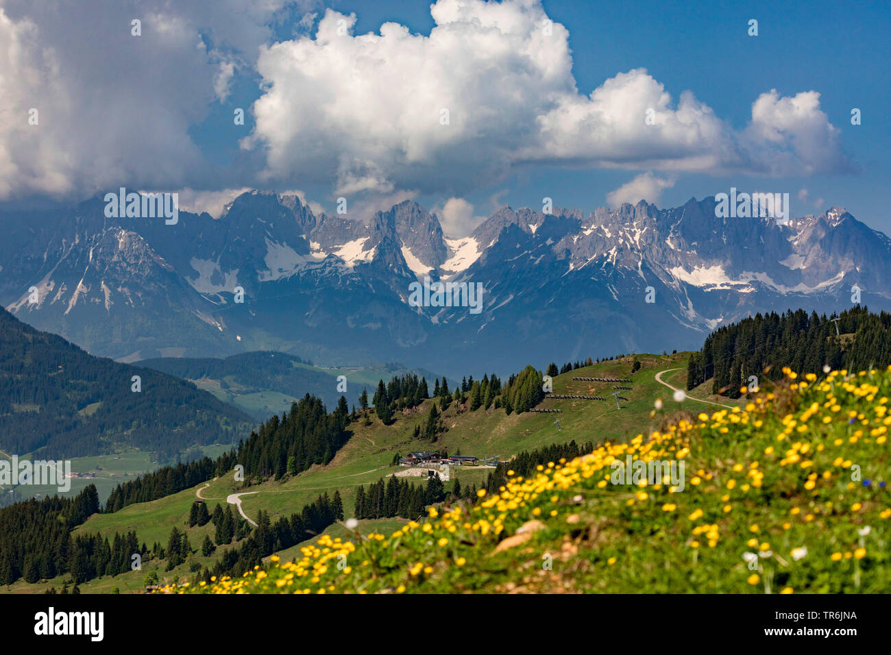 Montagna Wilder Kaiser con cumulus nuvole, Austria, Tirolo, Kirchberg Foto Stock