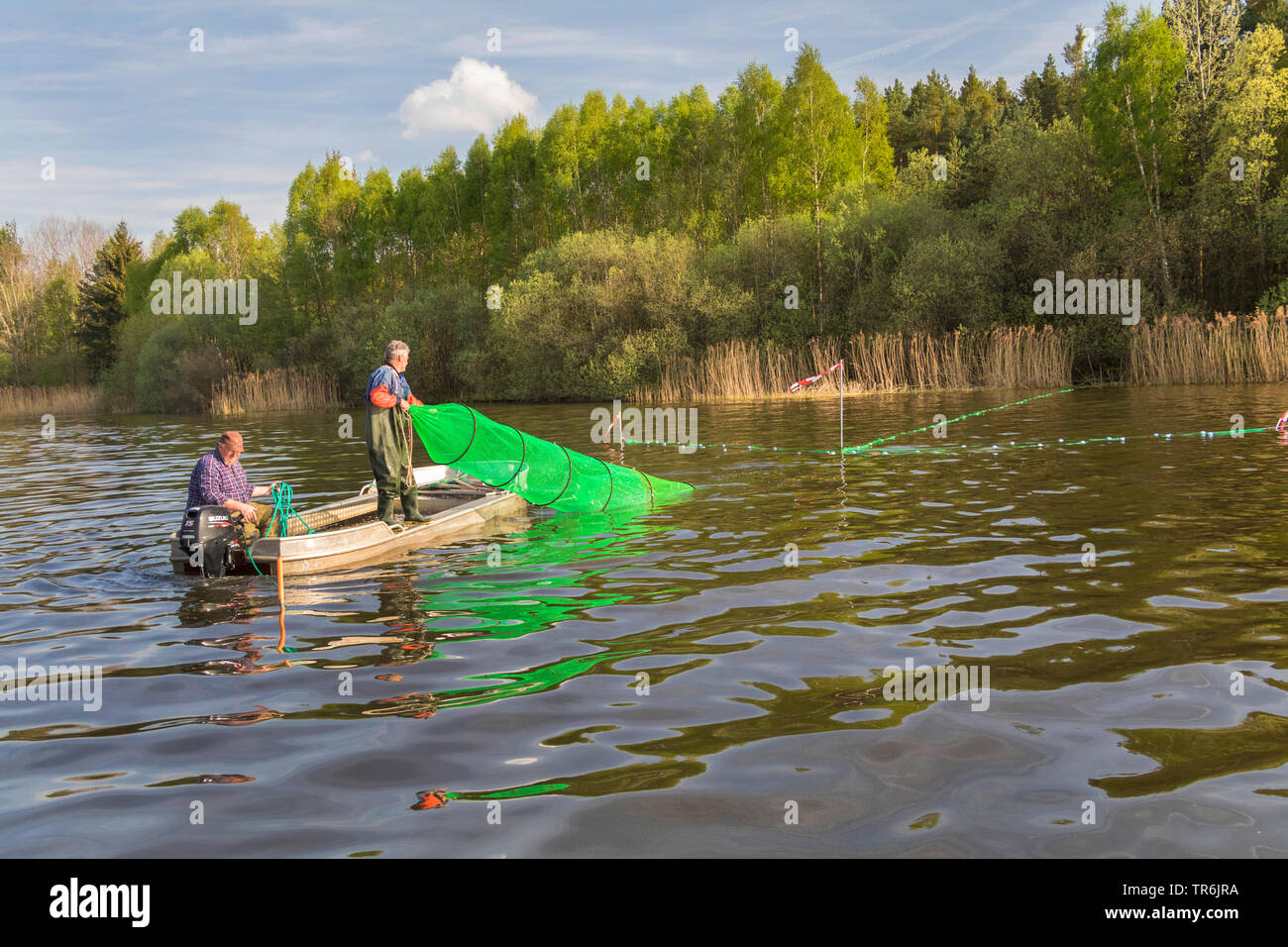 Bow net la pesca in un lago, in Germania, in Baviera, Brombachspeichersee Foto Stock