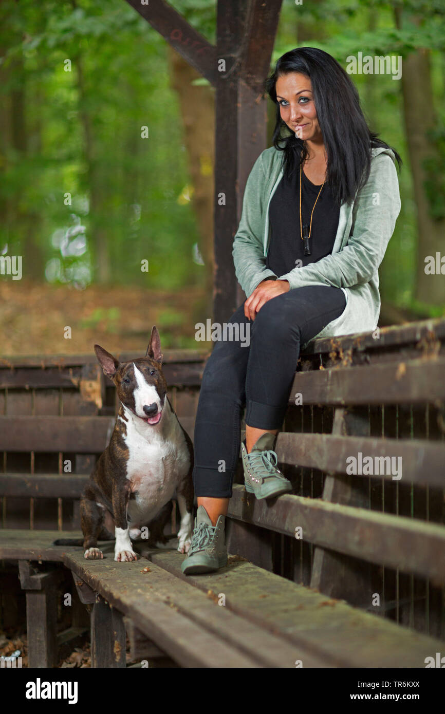 Bull Terrier (Canis lupus f. familiaris), donna seduta con il suo cane su un banco, Germania Foto Stock