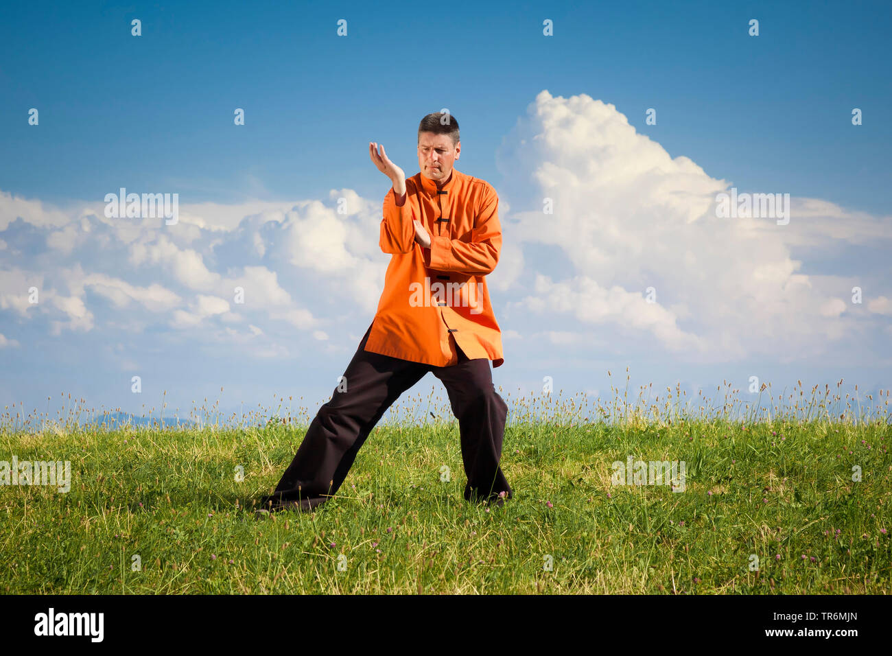 L'uomo practizing Qi-Gong su un prato, Germania Foto Stock