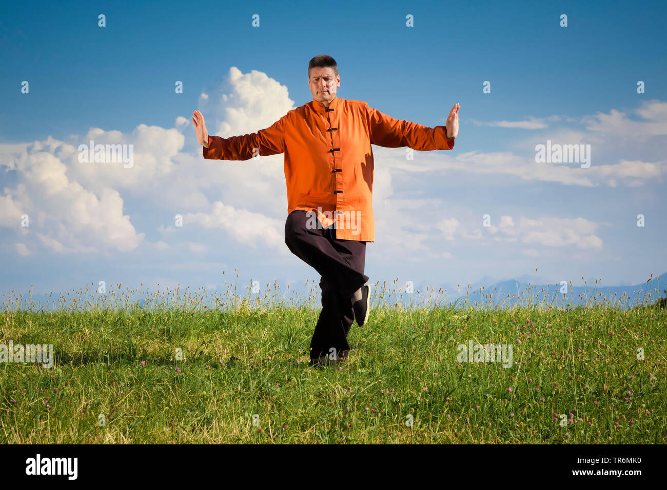 L'uomo practizing Qi-Gong su un prato, Germania Foto Stock