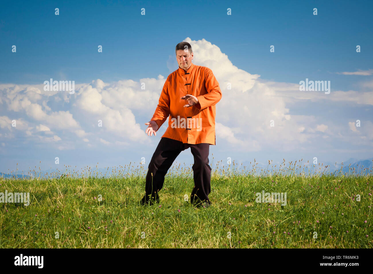 L'uomo practizing Qi-Gong su un prato, Germania Foto Stock