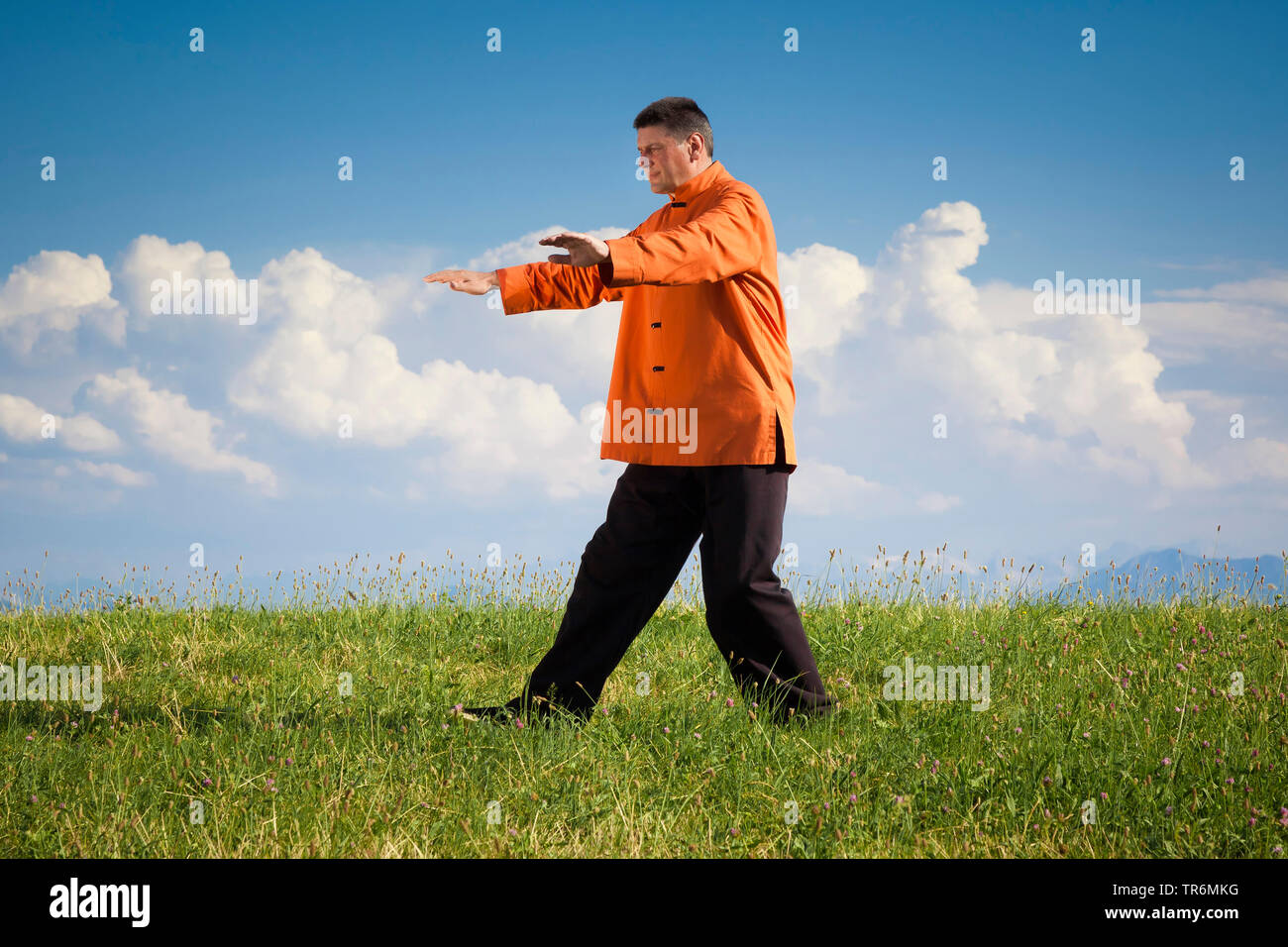 L'uomo practizing Qi-Gong su un prato, Germania Foto Stock
