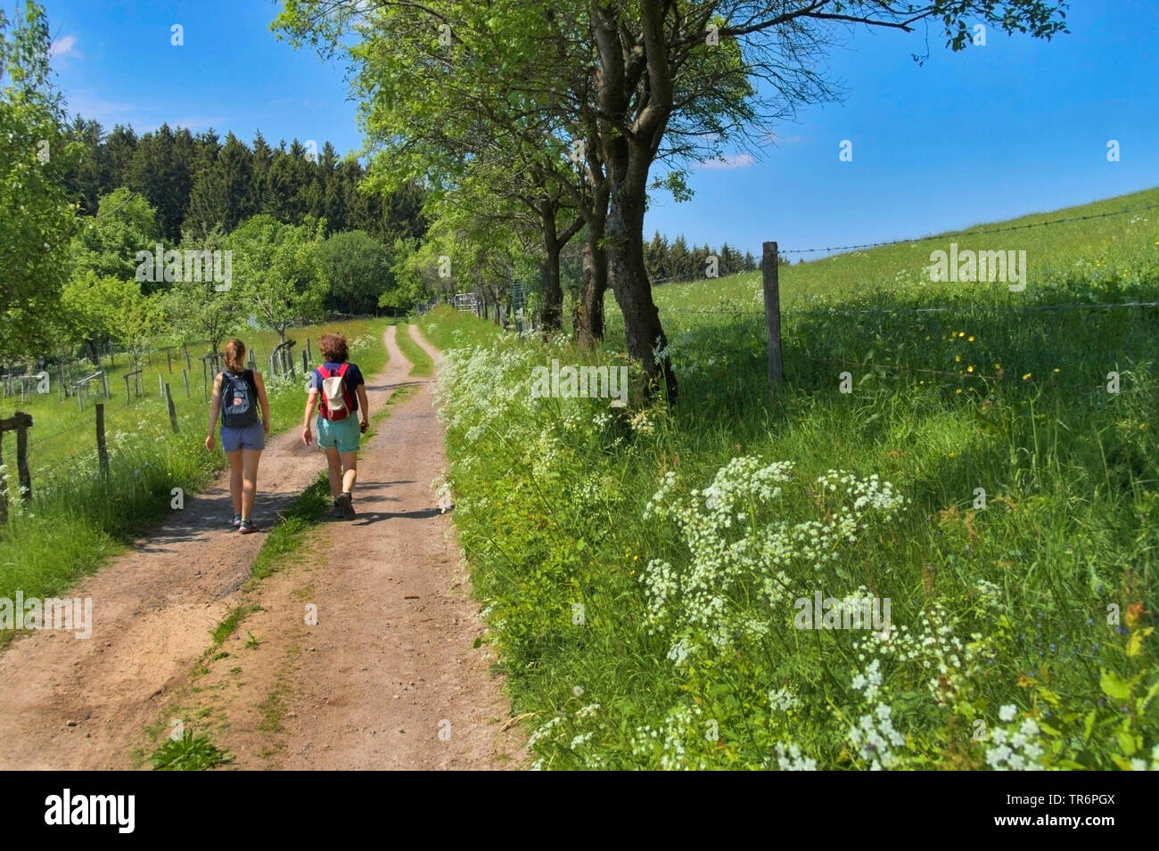 Madre e figlia escursionismo su un percorso di campo, in Germania, in Renania settentrionale-Vestfalia, Plettenberg, Gruener Tal Foto Stock