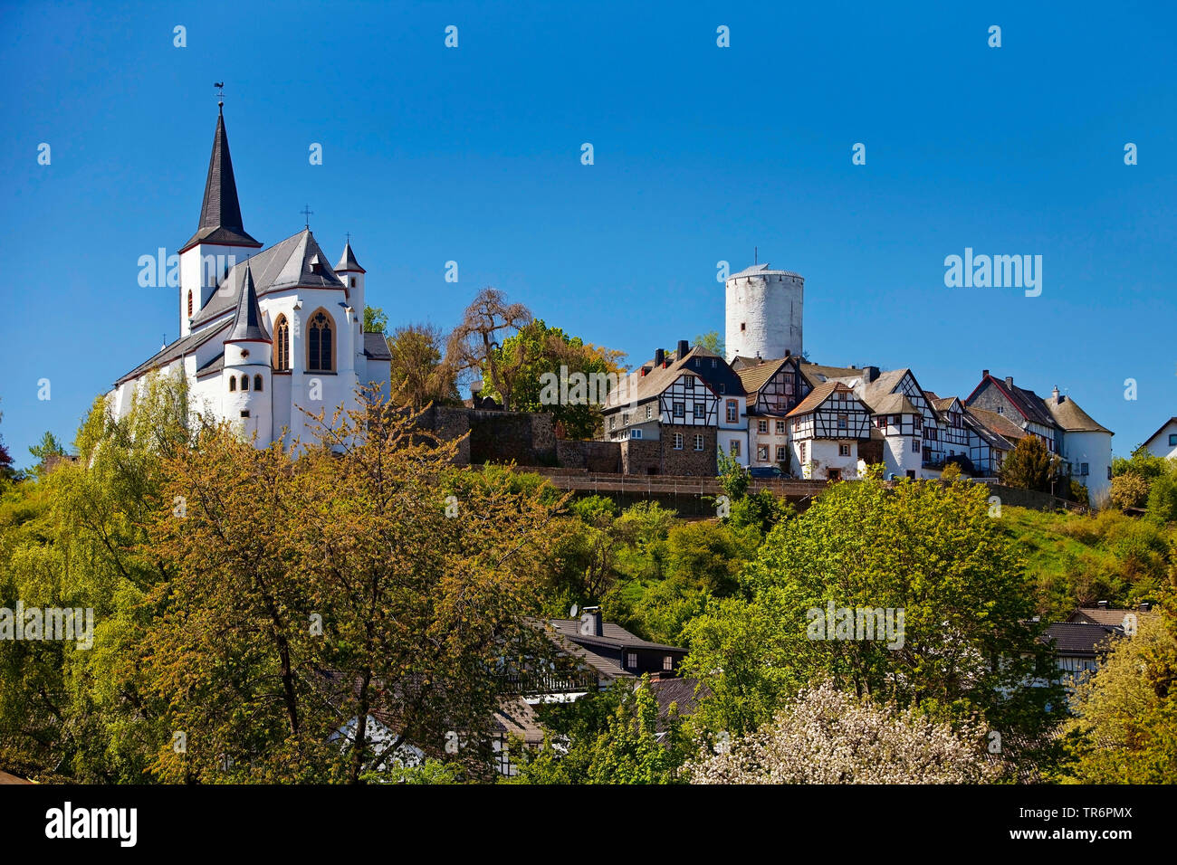 Villaggio con chiesa parrocchiale San Michele, in Germania, in Renania Palatinato, Eifel, Reifferscheid Foto Stock