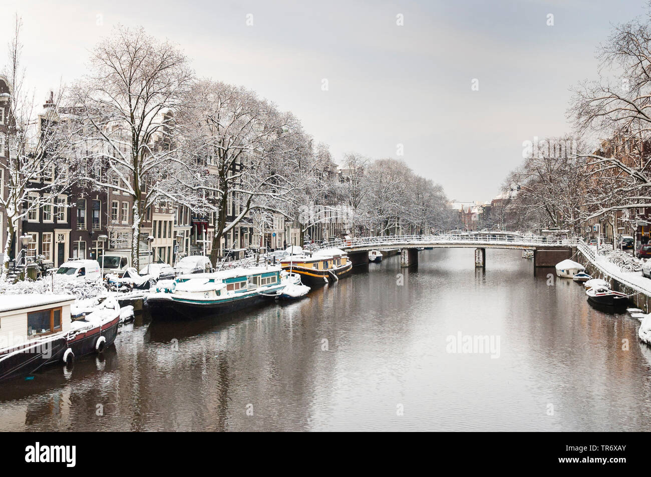 Paesaggio di coperta di neve di Amsterdam, Paesi Bassi, Noord-Holland, Amsterdam Foto Stock