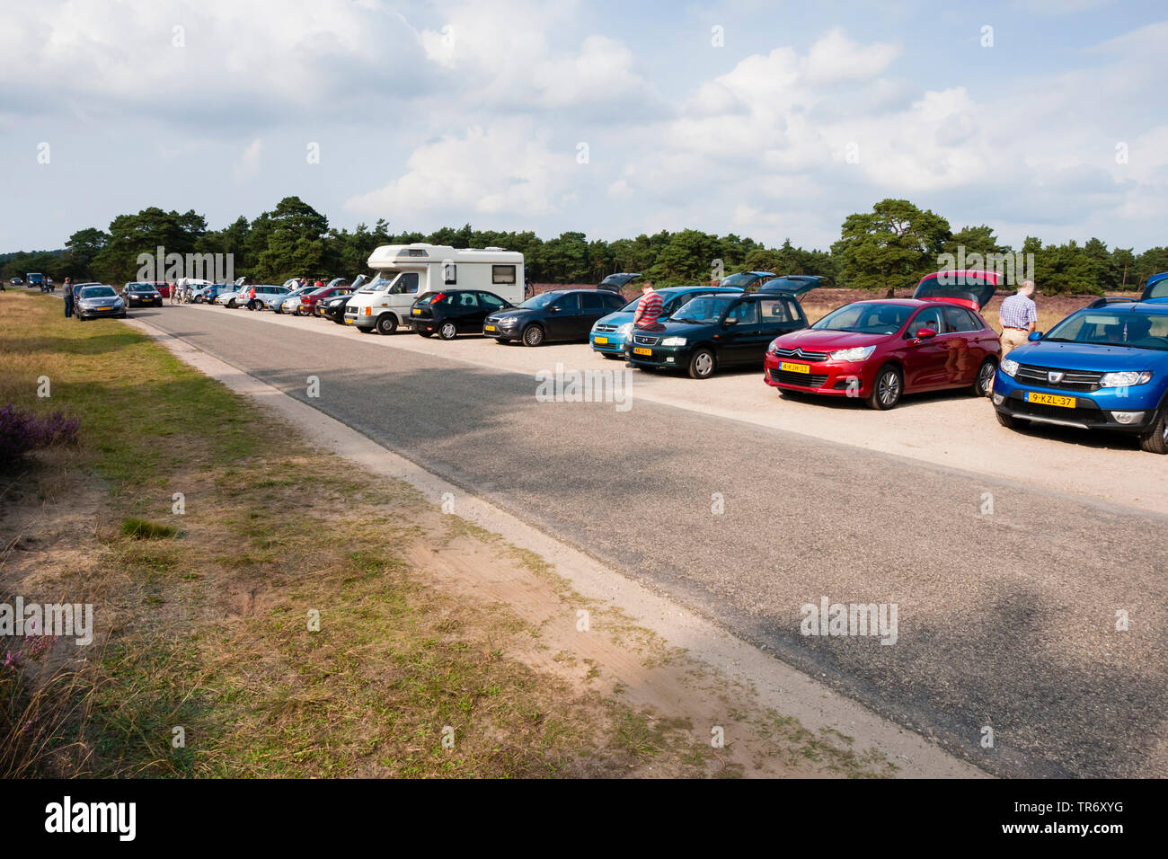 Fila di automobili parcheggiate presso De Wildbaan, Paesi Bassi, Gelderland, Hoge Veluwe National Park Foto Stock