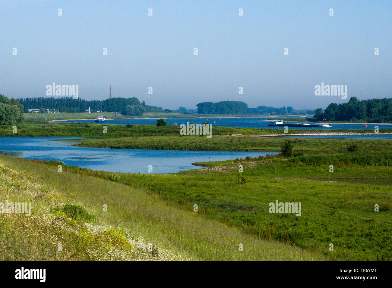 Vista da Ooijpolder al fiume Waal, Paesi Bassi, Gelderland, Ooijpolder Foto Stock