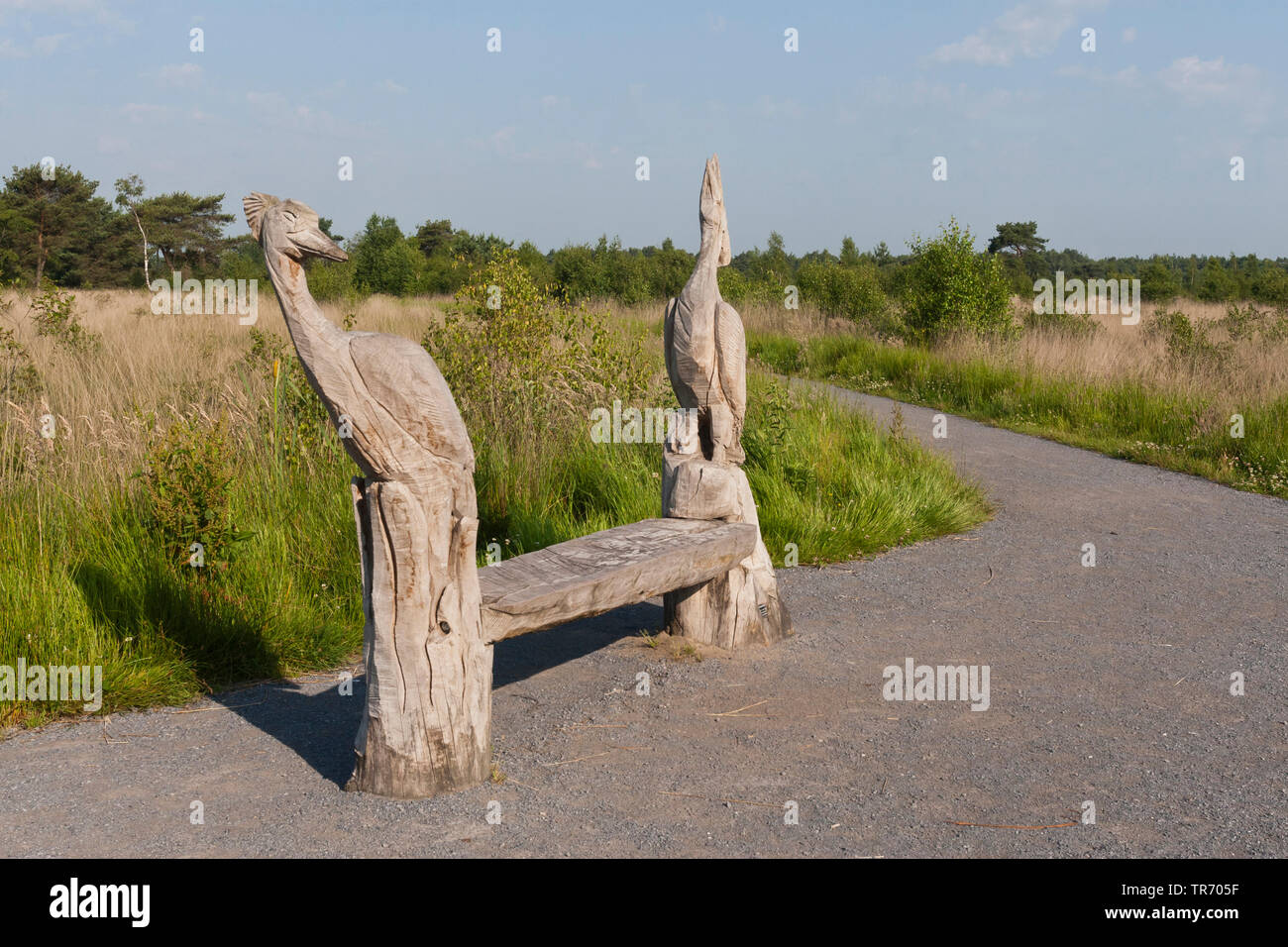 Panca con sculture in legno a Parco Nazionale de Groote Peel, Paesi Bassi, Noord-Brabant, Groote Peel Nationalpark Foto Stock