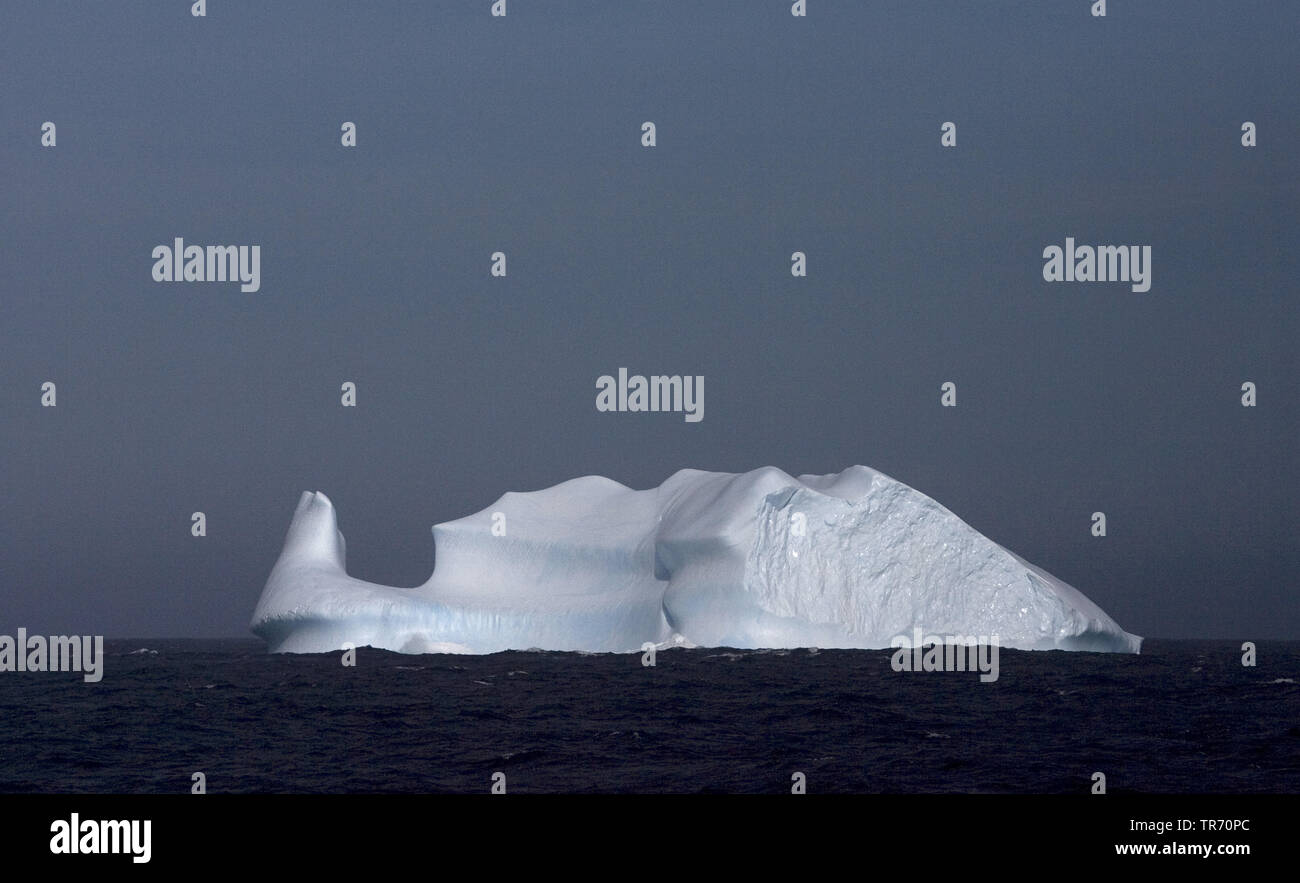 Iceberg a sud della Georgia del Sud , Suedgeorgien Foto Stock