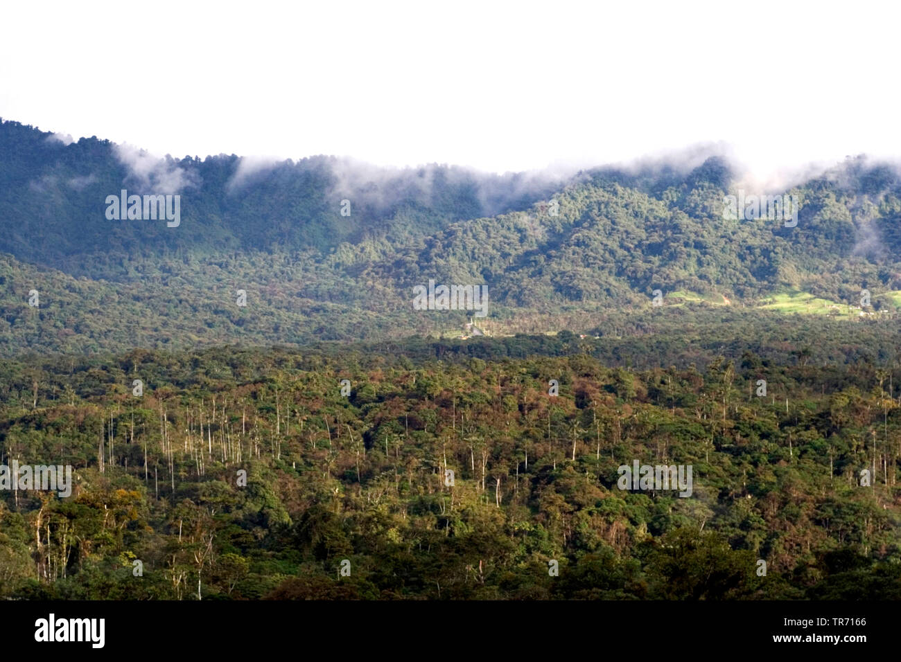 San Isidro pendio ovest, Ecuador, Andes Foto Stock