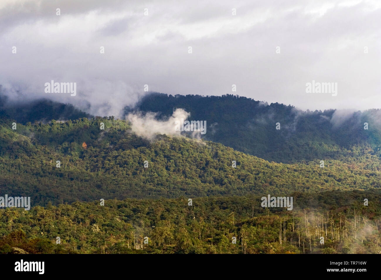 San Isidro pendio ovest, Ecuador, Andes Foto Stock