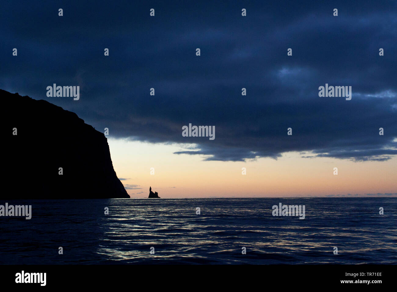 Gough Island, Suedgeorgien Foto Stock