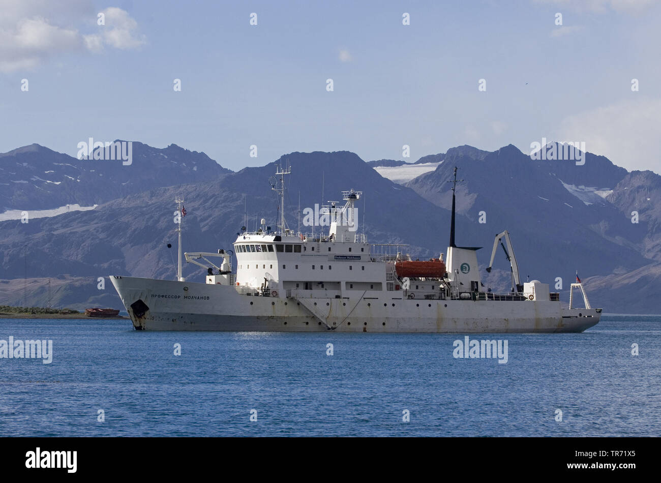 Expedtion nave di crociera Molchanov ancorato Grytviken, Suedgeorgien Foto Stock