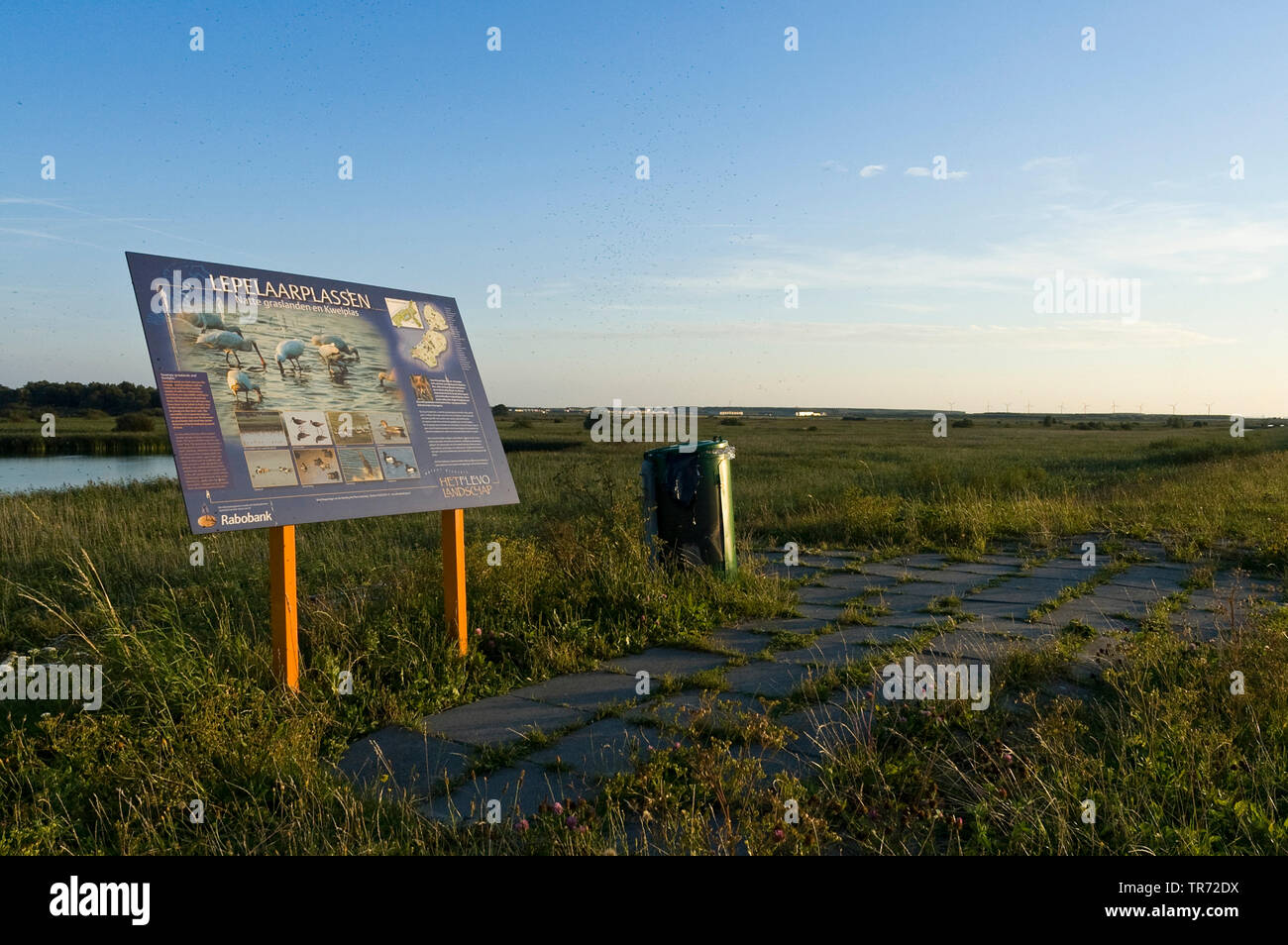 Informazioni segno in area natura Lepelaarsplassen, Paesi Bassi, Flevoland, Lepelaarsplassen, Almere Foto Stock