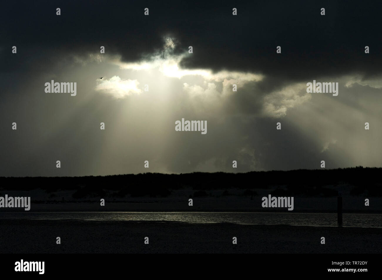 Rottura sole attraverso nel cielo nuvoloso scuro, Paesi Bassi Vlieland Foto Stock
