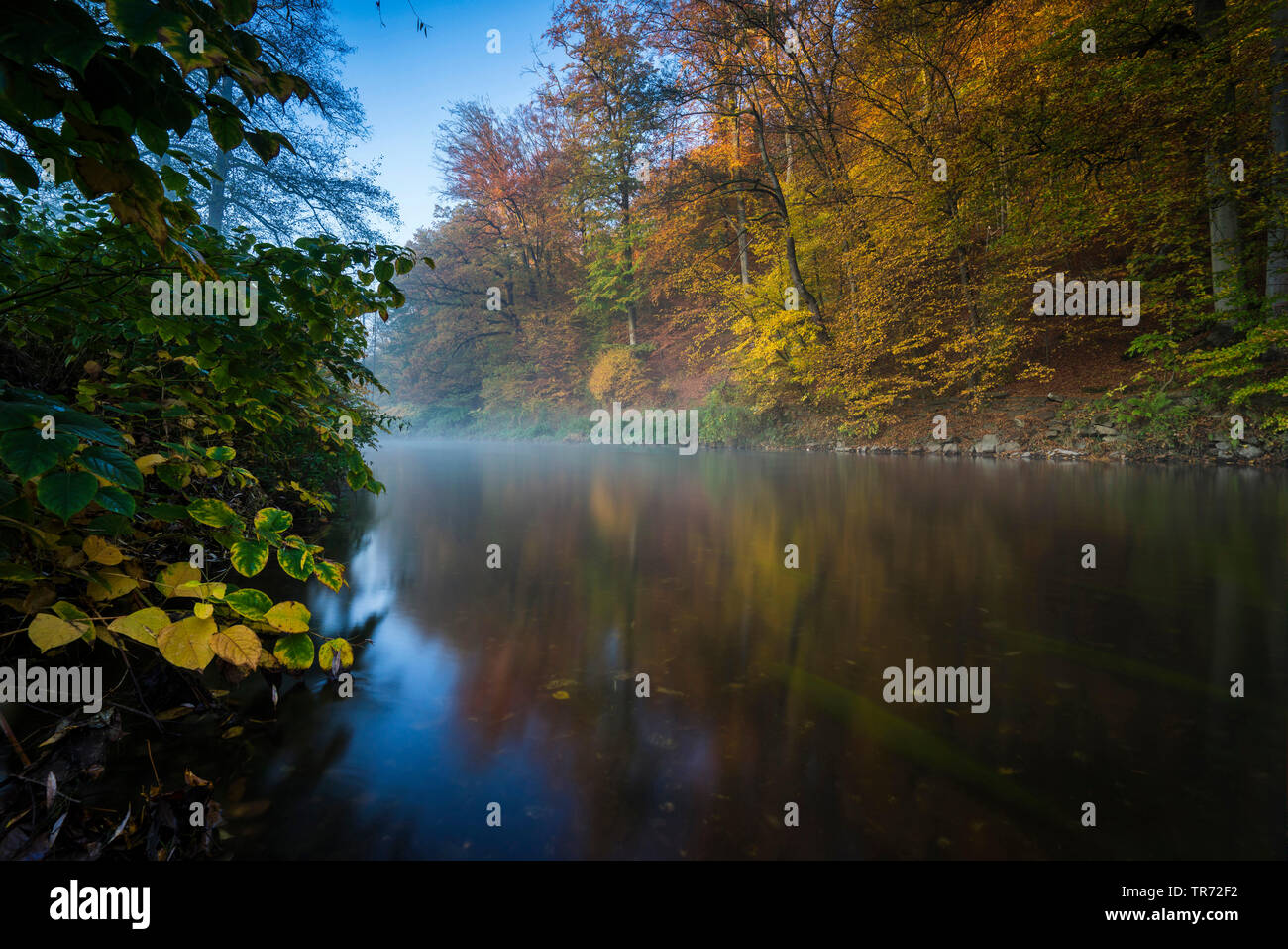 Fiume in autunno, in Germania, in Sassonia, Vogtlaendische Schweiz, Triebtal Foto Stock