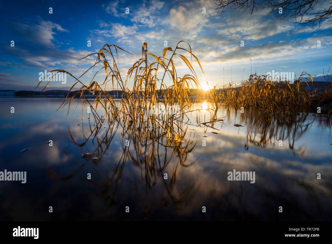 Lago di storage Talsperre Poehl al sorgere del sole in inverno, in Germania, in Sassonia, Vogtland Foto Stock