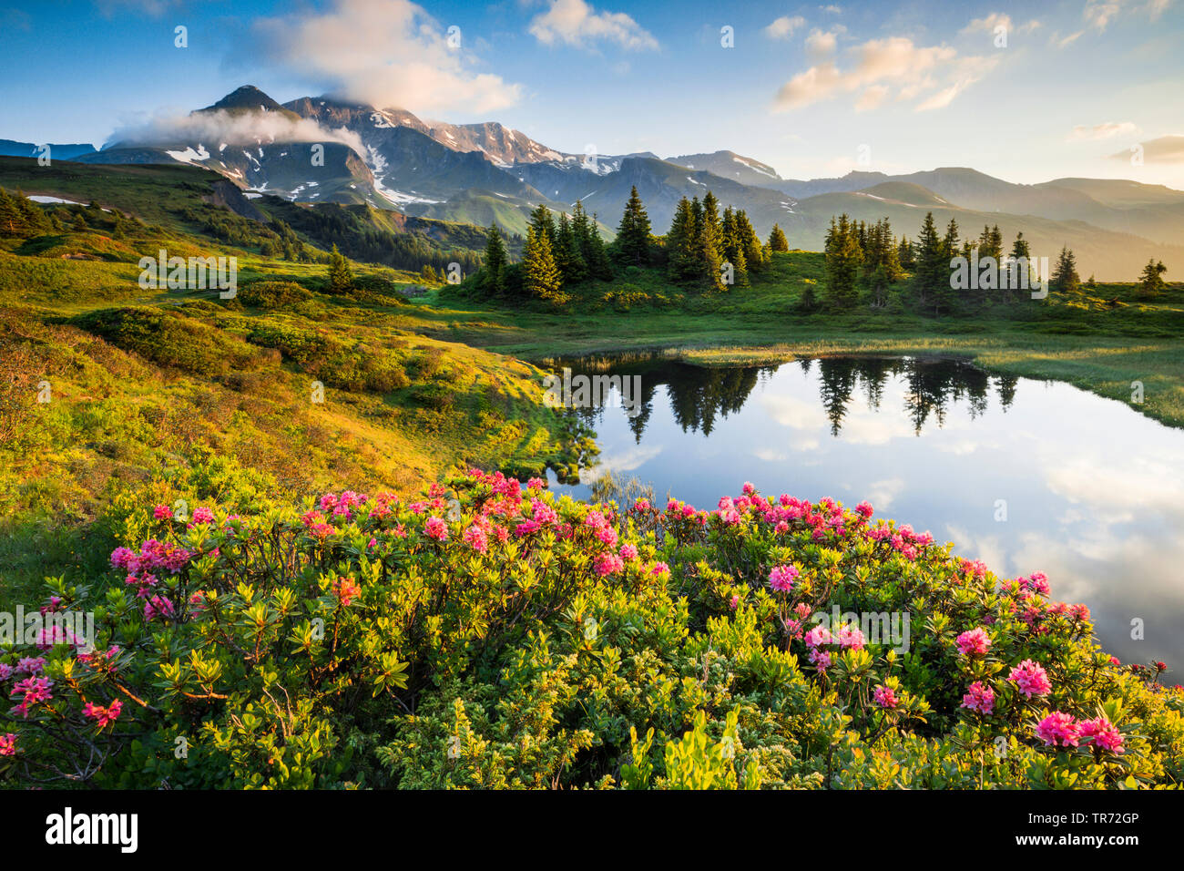 Vista su Chalberboden al Corno Nero, Svizzera, Alpi bernesi Foto Stock