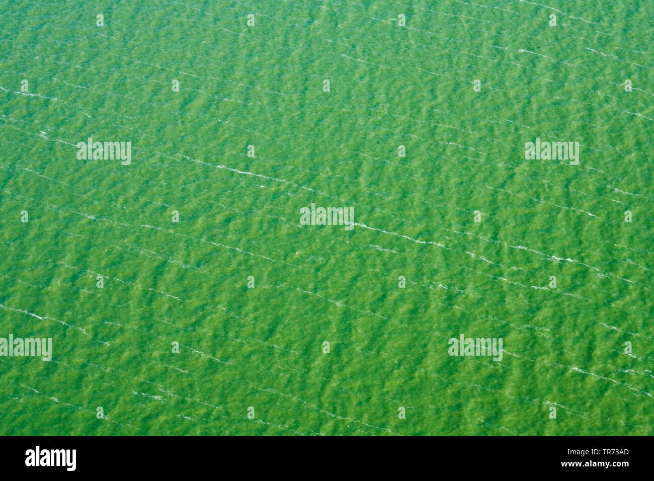 Foto aerea di Markermeer, Paesi Bassi, Frisia Foto Stock