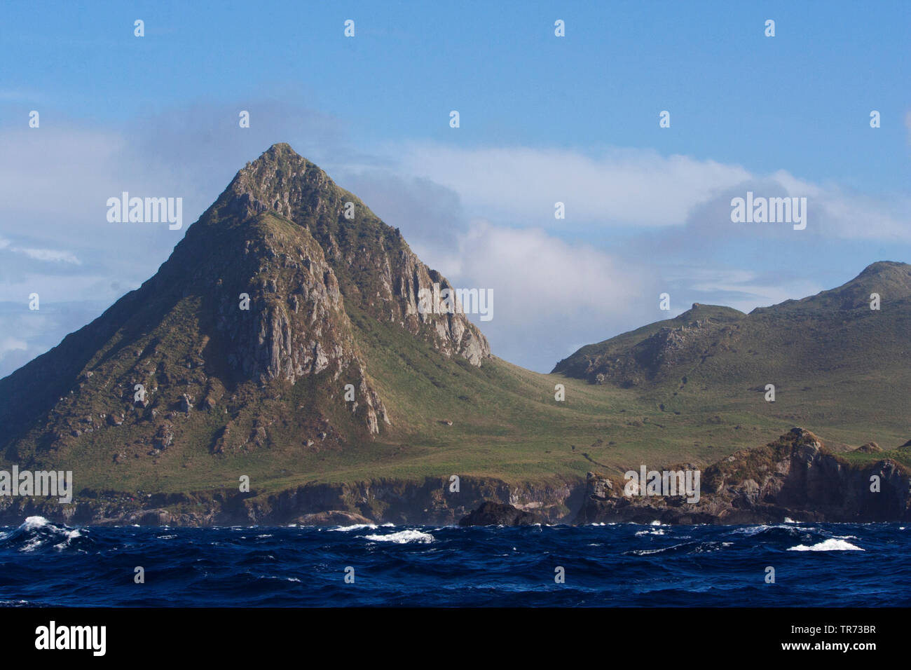 Nightingale Island, Tristan Archipel, Tristan da Cunha Foto Stock