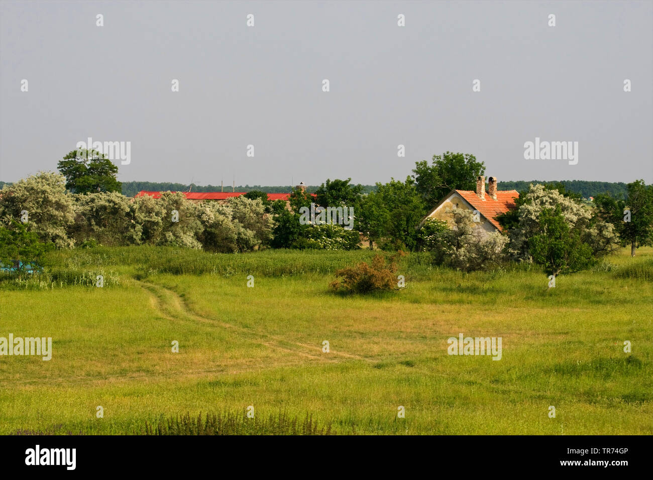 Azienda Agricola a Hortobagy, Ungheria, Hortobagy, Hortobagy National Park, Boerderij Foto Stock