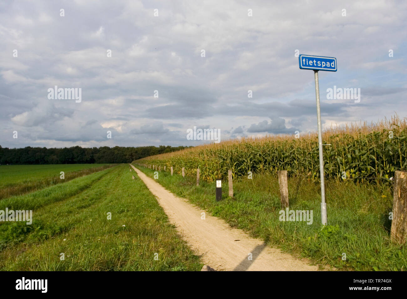 Pista ciclabile, Paesi Bassi Haaksbergen Foto Stock
