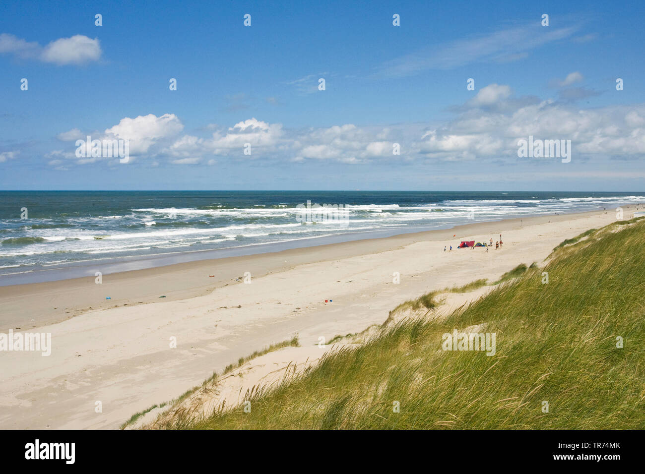 Costa su Texel, Paesi Bassi, Texel Foto Stock