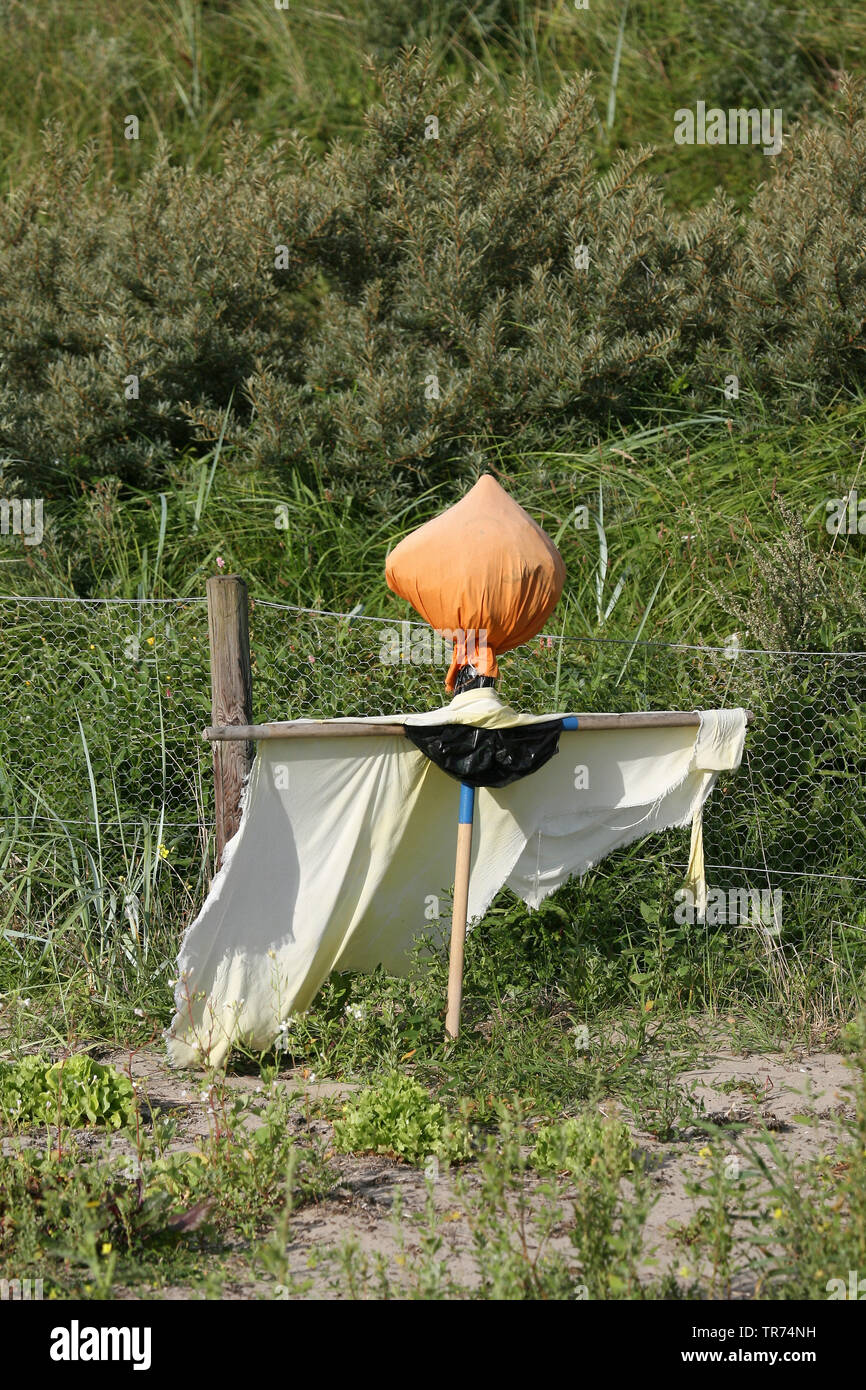 Lo Spaventapasseri nelle dune, Paesi Bassi Egmond aan Zee Foto Stock