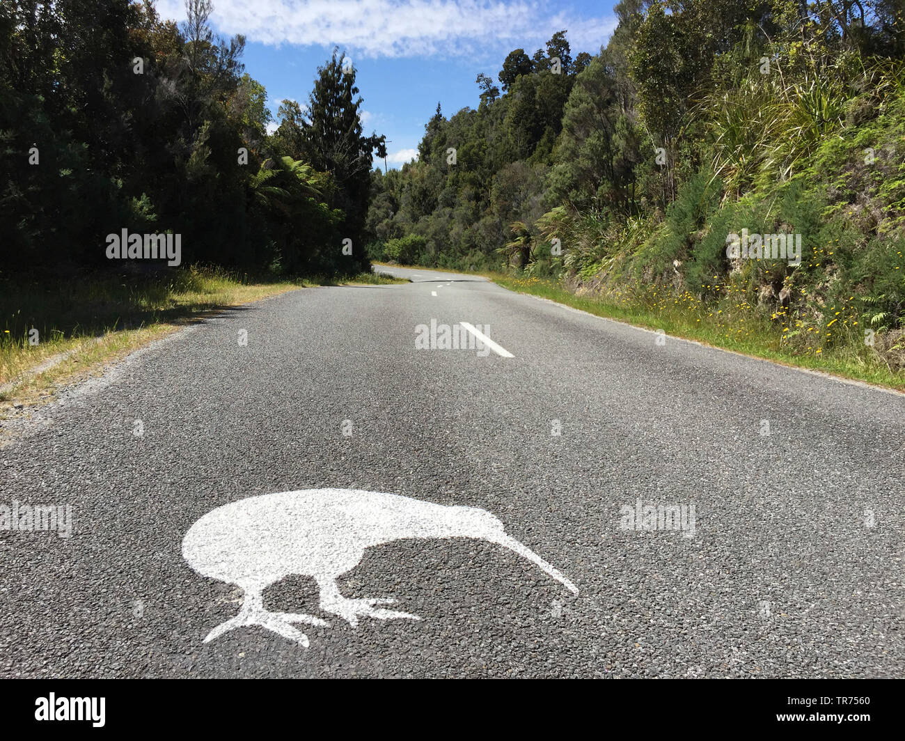 Okarito kiwi, Rowi, Okarito brown kiwi (Apteryx rowi), cartello stradale Okarito Kiwi vicino Okarito, Nuova Zelanda, Isola Meridionale, Okarito Foto Stock