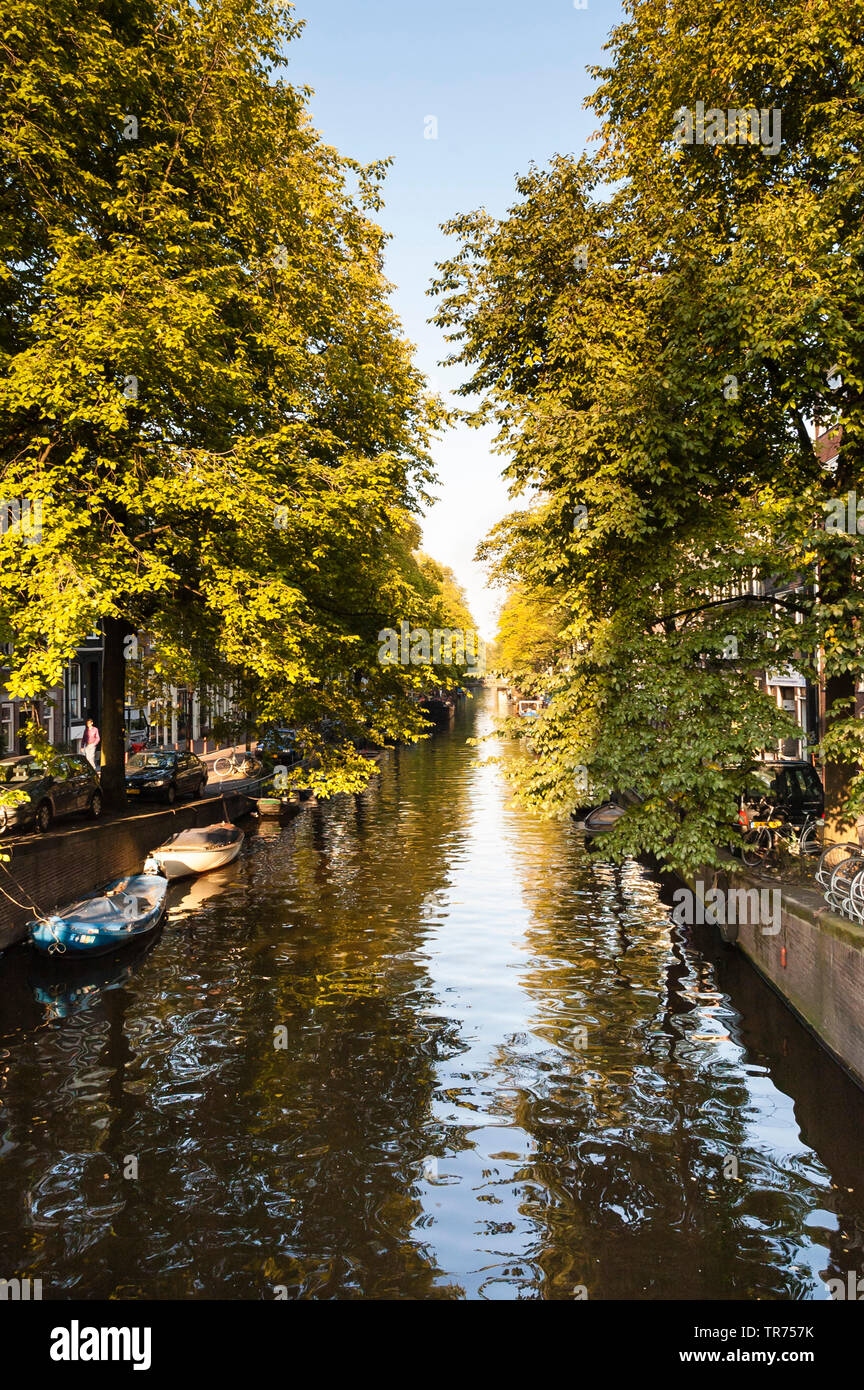 Canal in Amsterdamm, Paesi Bassi Paesi Bassi del Nord, Amsterdam Foto Stock