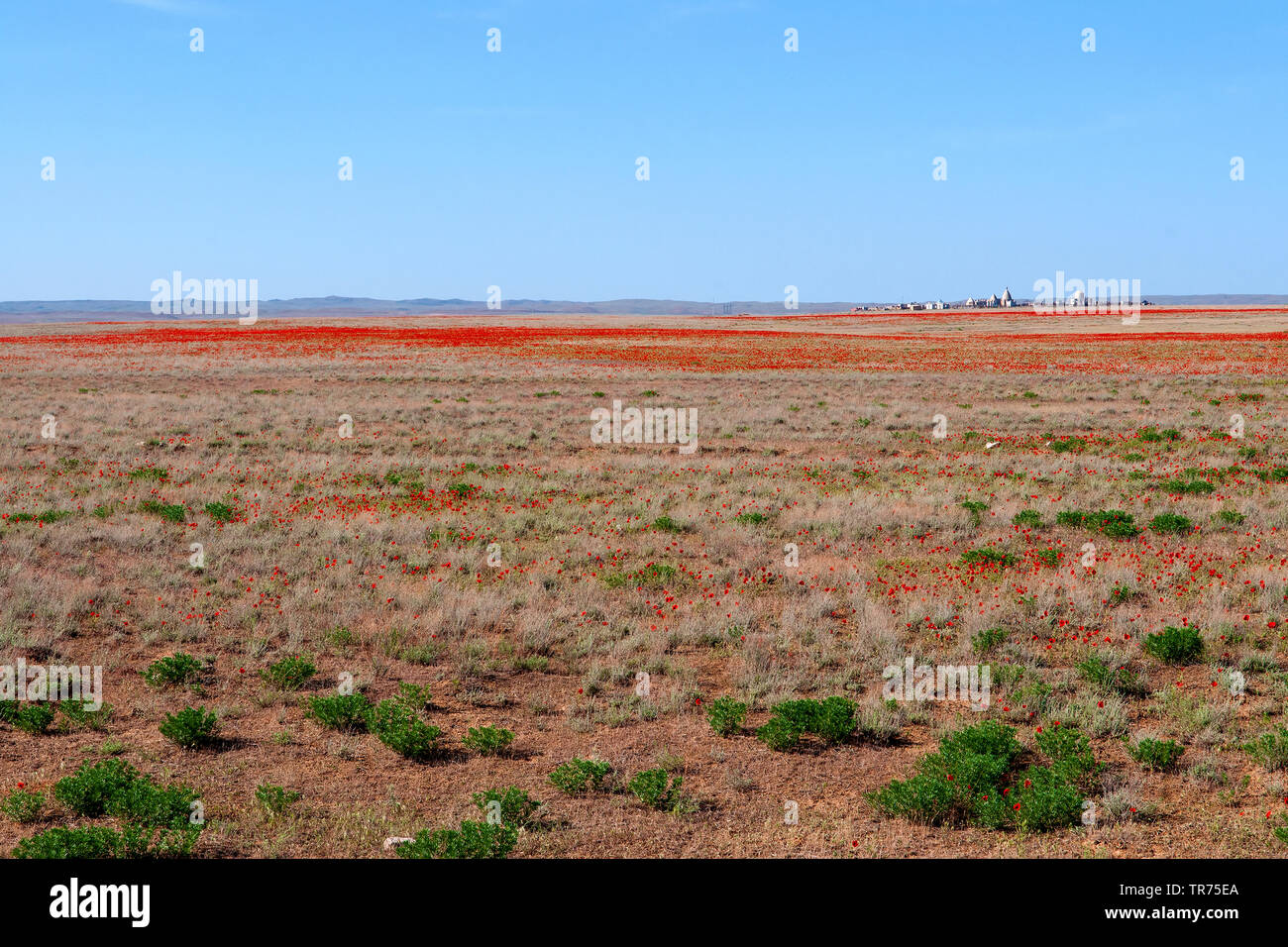 Zhusandala, Kazakistan Foto Stock