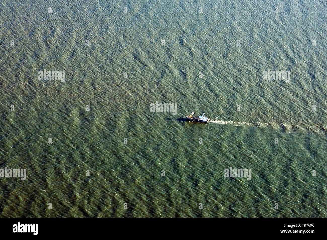 Barca da pesca nel Mare del Nord, foto aerea, Paesi Bassi Foto Stock
