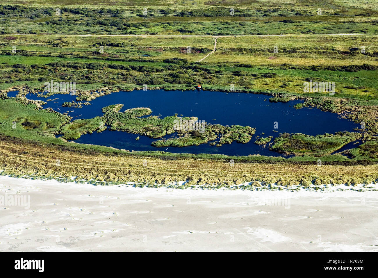 Stagno in dune al Mare del Nord, foto aerea, Paesi Bassi Foto Stock