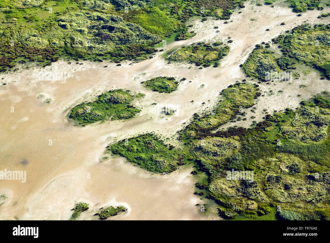 Il wadden sea al nord Seaea, foto aerea, Paesi Bassi Schiermonnikoog Foto Stock