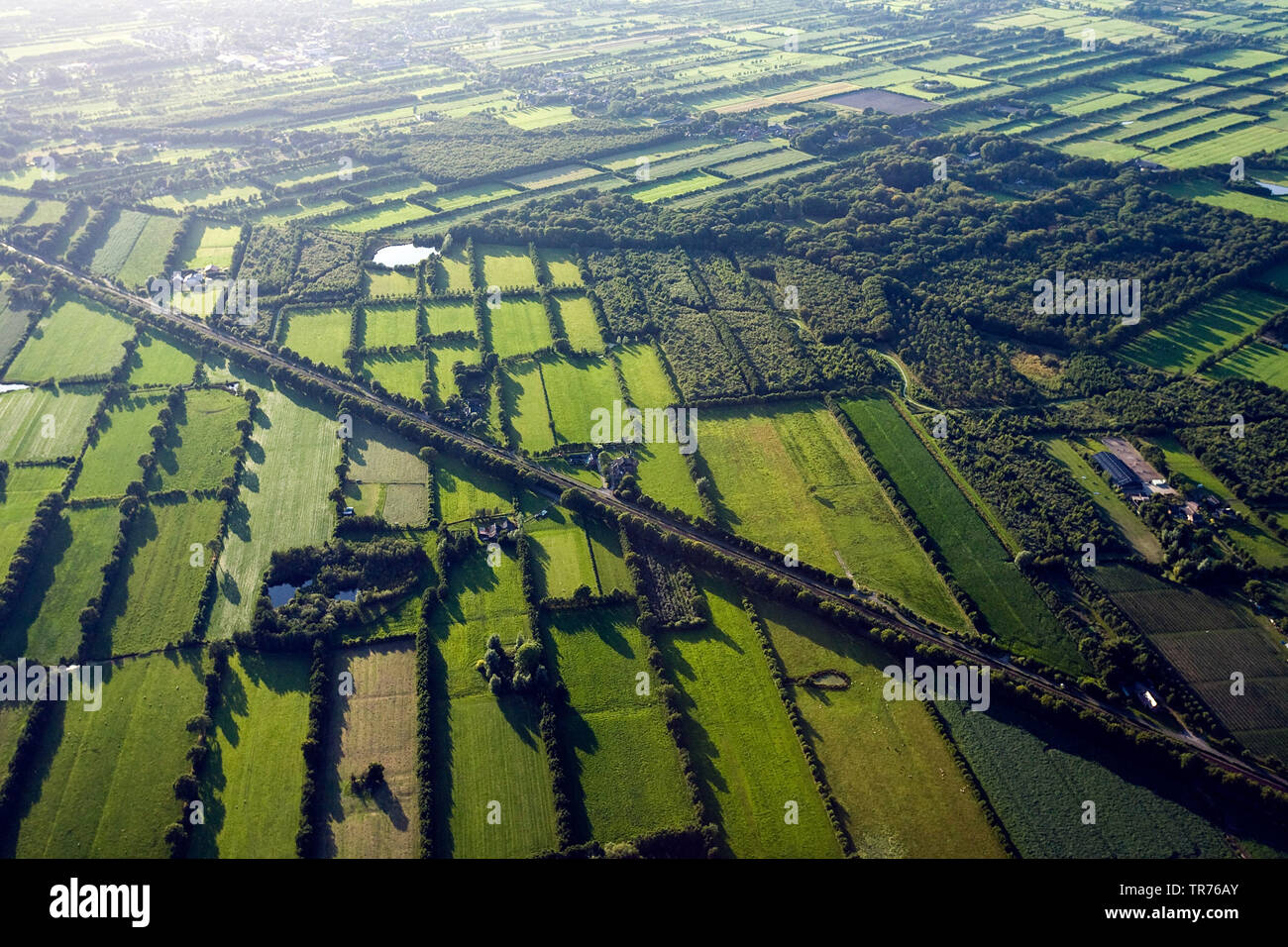 Paesaggio di campo con siepi al Mare del Nord, foto aerea, Paesi Bassi Foto Stock