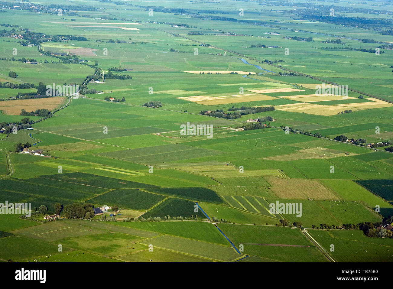 Paesaggio di campo al Mare del Nord, foto aerea, Paesi Bassi Foto Stock