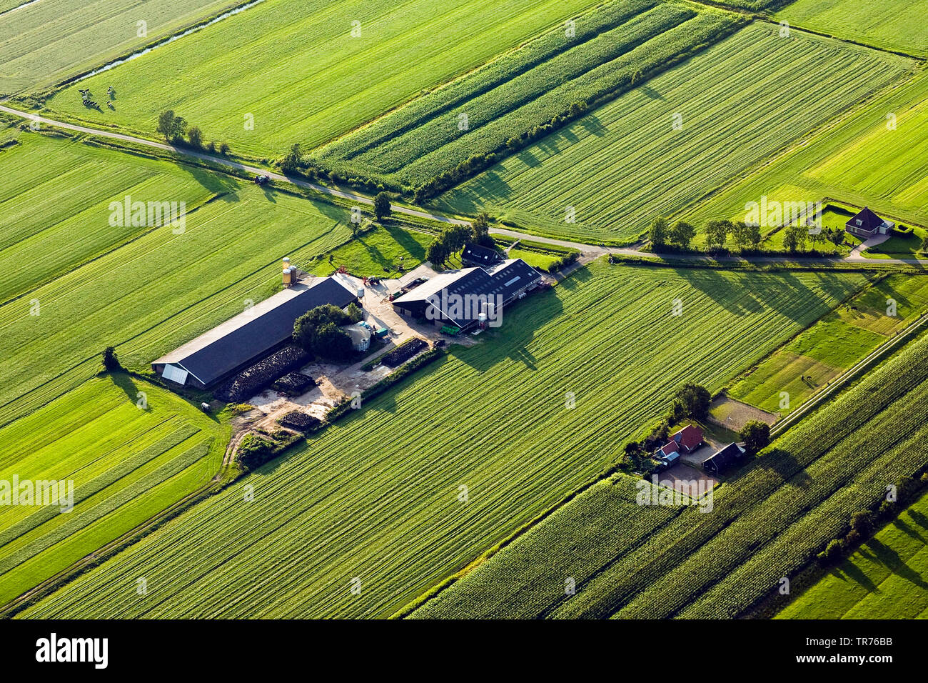 Paesaggio di campo con agriturismo al Mare del Nord, foto aerea, Paesi Bassi Foto Stock