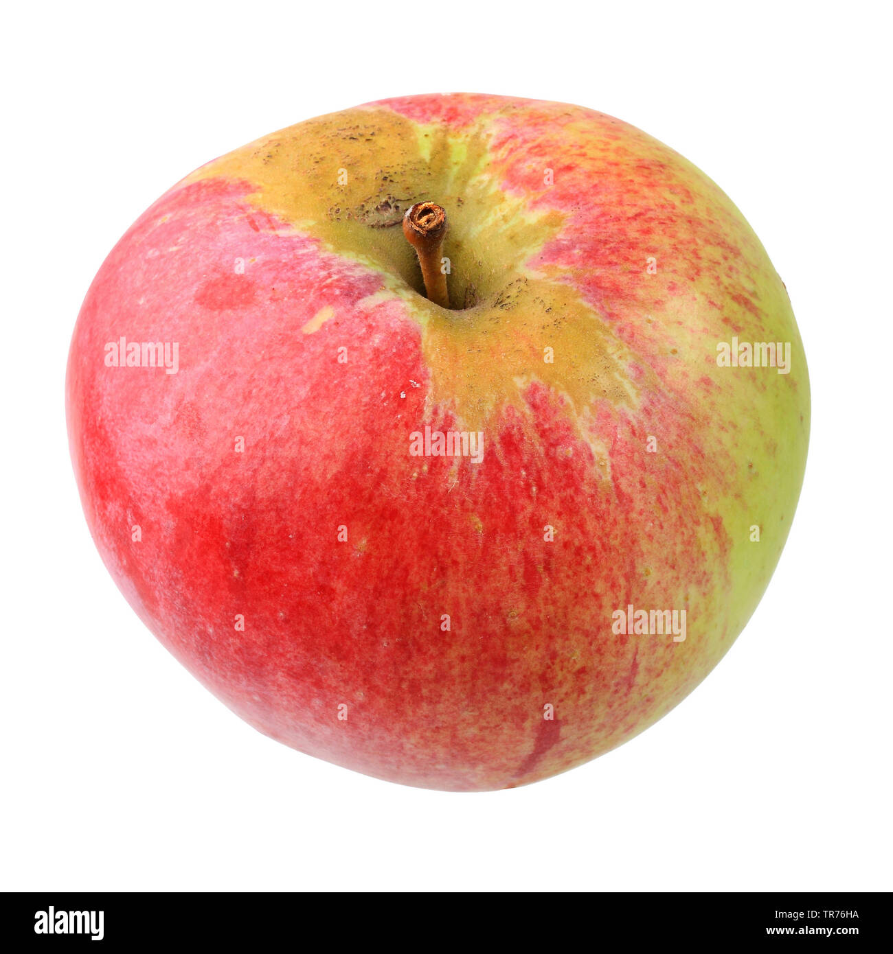 Apple (Malus domestica 'Kaiser Alexander', Malus domestica Kaiser Alexander), cultivar Kaiser Alexander, intaglio, Germania Foto Stock