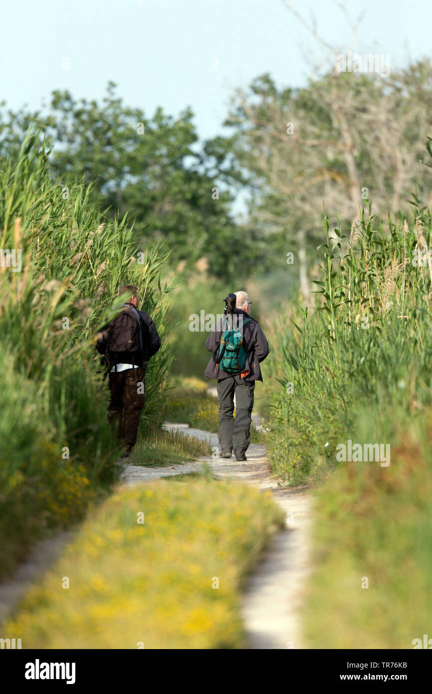 Gli amanti del birdwatching a piedi nella riserva naturale con canneti, Isole Baleari Spagna, Maiorca, signor=Sì Foto Stock